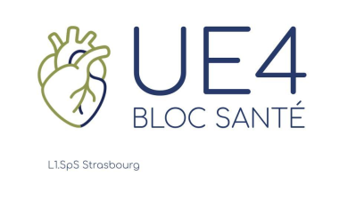 UE4 - Le corps humain